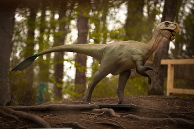 Dino Parc Râșnov excursie copii București