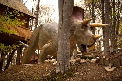 Excursie Dino Parc Râșnov din București | 1 Iunie și excursii pentru copii