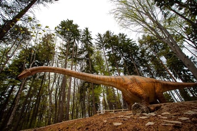 Excursie Dino Parc Râșnov din București | 1 Iunie și excursii pentru copii