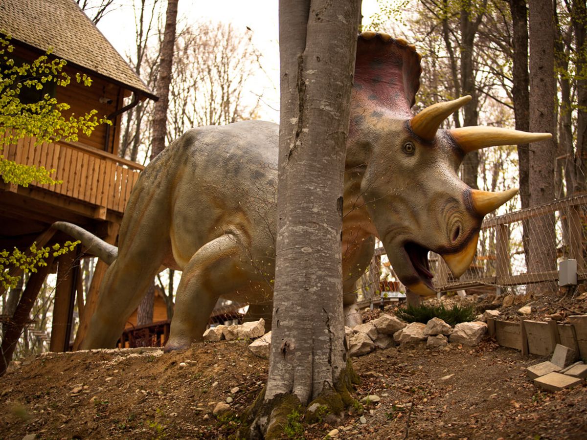 Triceratops în pădurea Dino Parc Râșnov