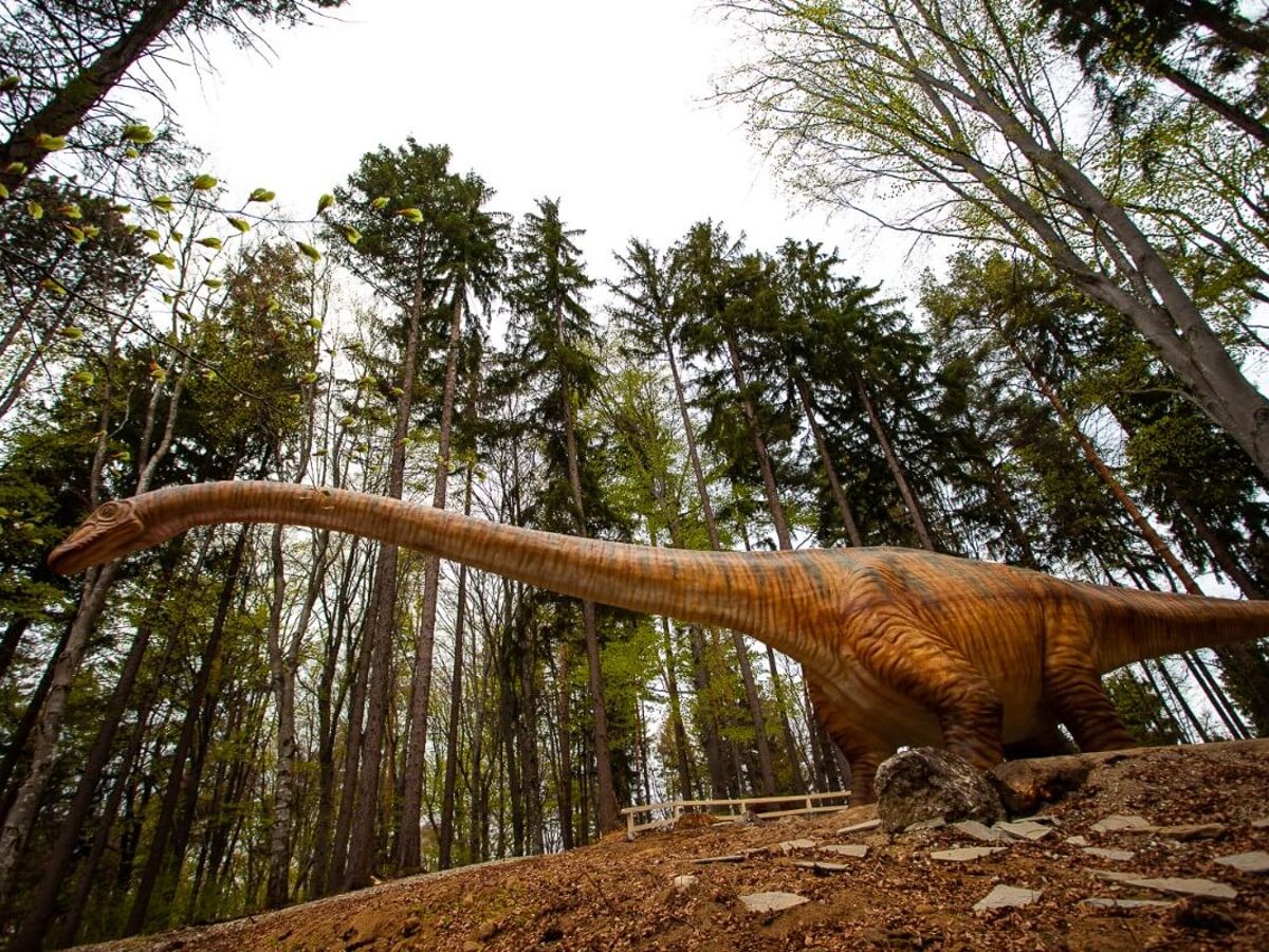 Dinozaur cu gât lung în pădurea Dino Parc Râșnov