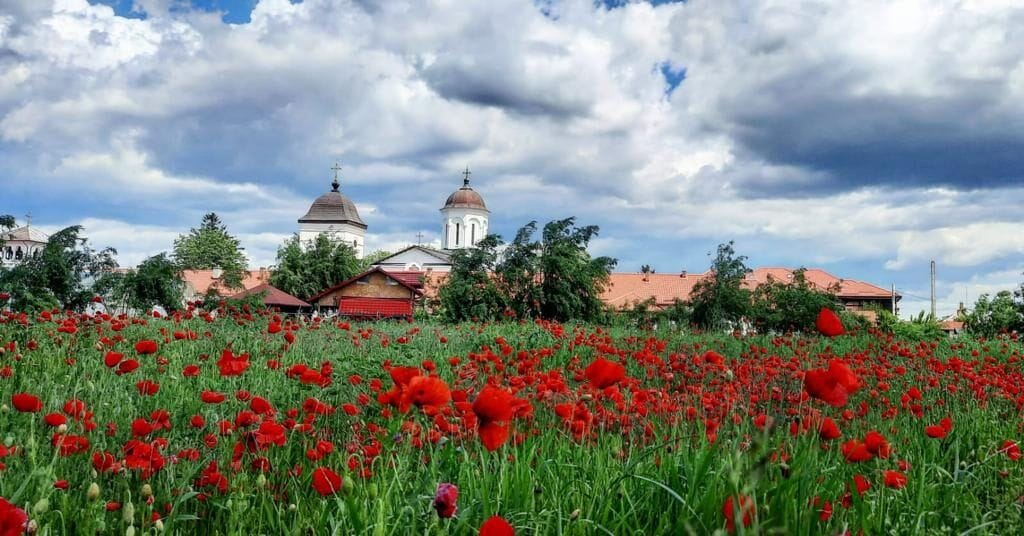 Mănăstirea Ghighiu în spatele unui câmp cu maci