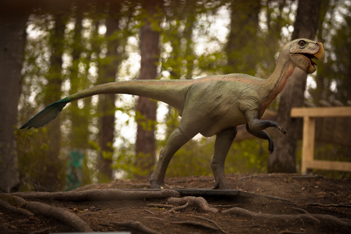 Dino Parc Râșnov excursie copii București