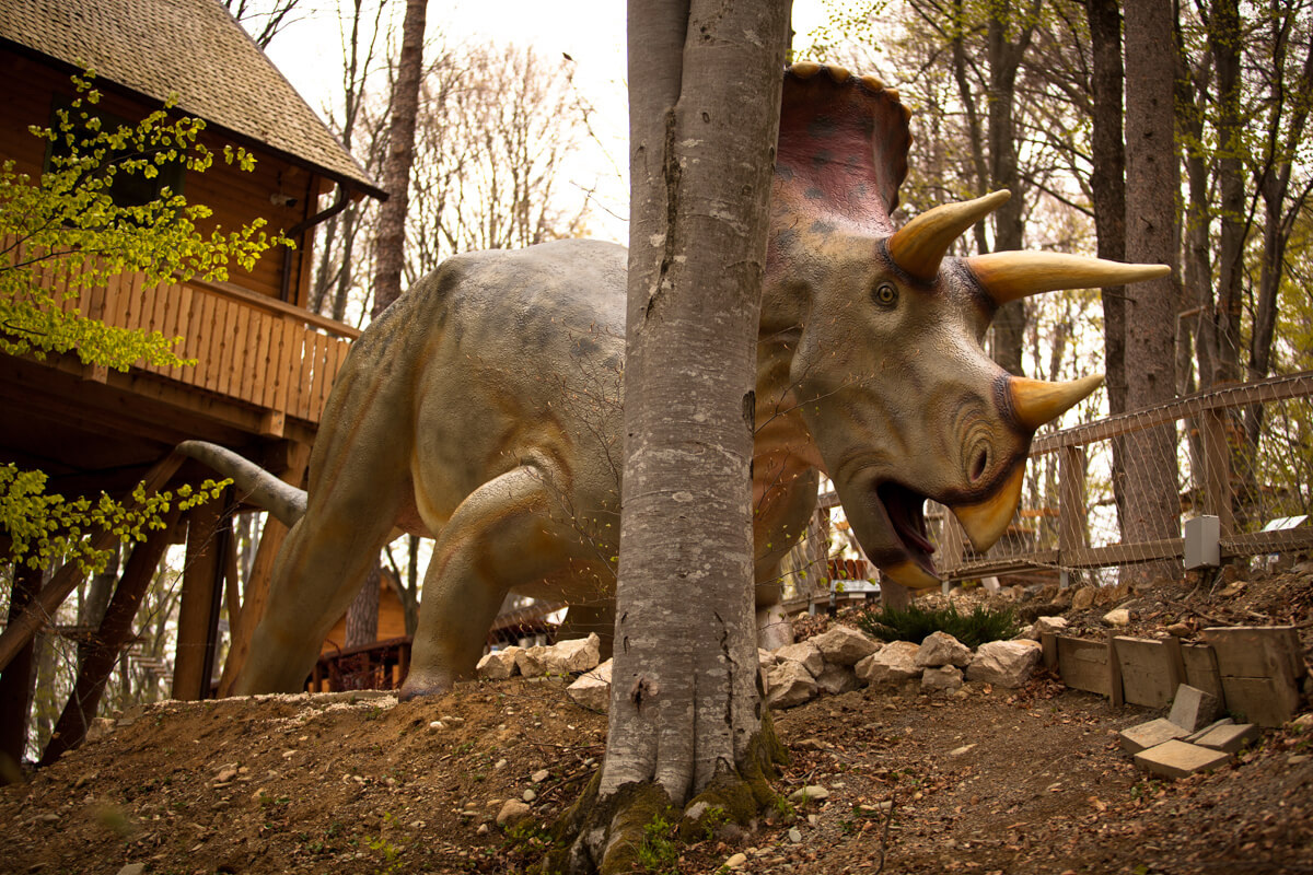 Dino Parc Râșnov Trip from București | June 1st and Kids' Excursions